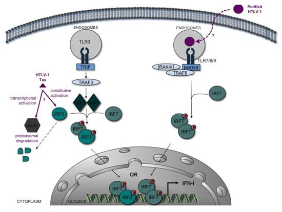 Viruses 03 01374 g001