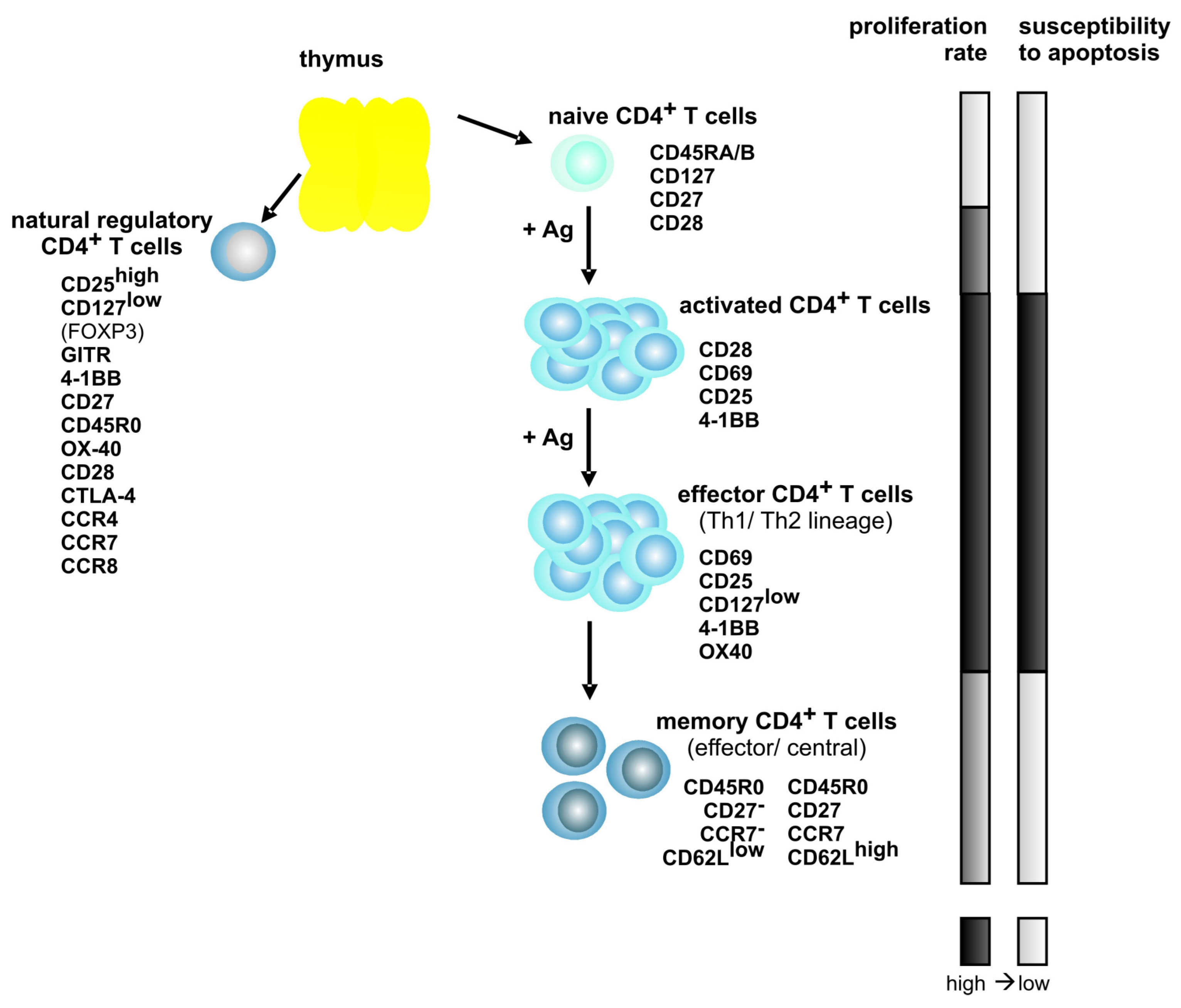 Viruses 03 01439 g001