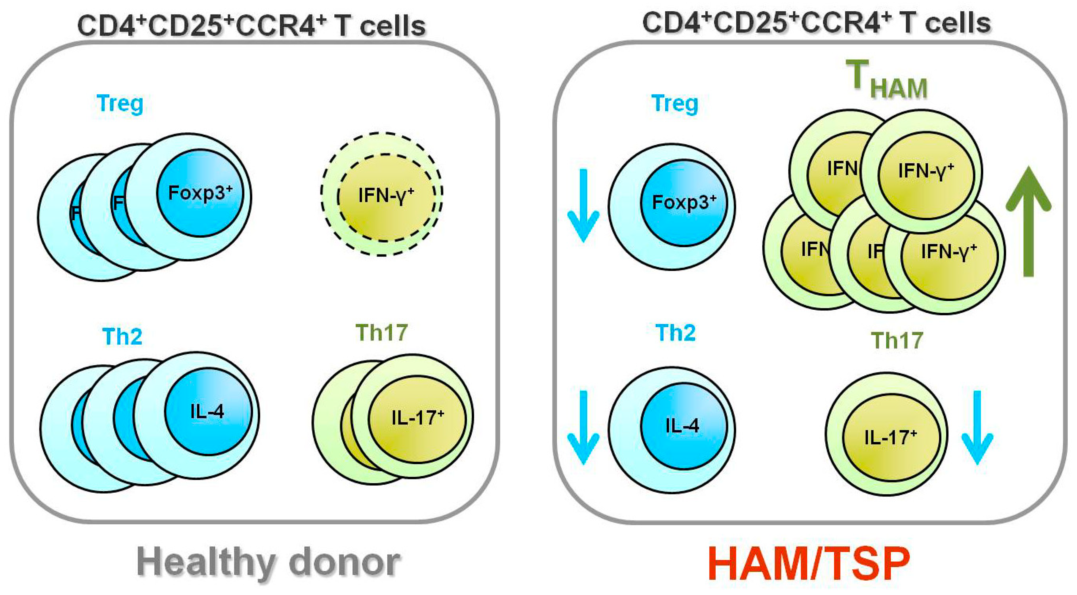 Viruses 03 01532 g002