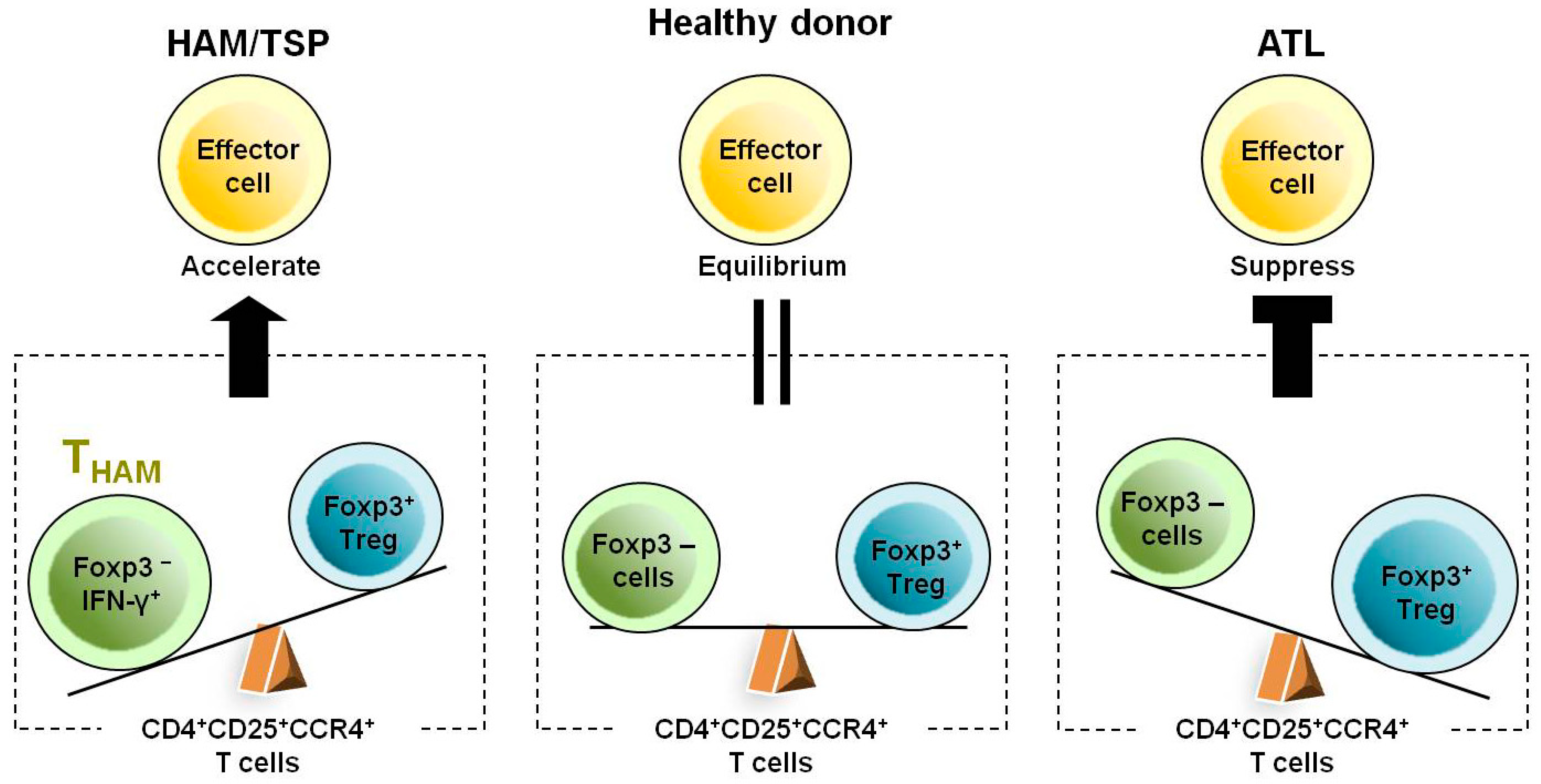 Viruses 03 01532 g003