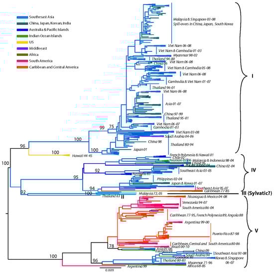 Viruses 03 01562 g002