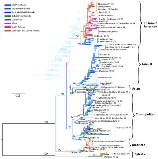 Viruses 03 01562 g003