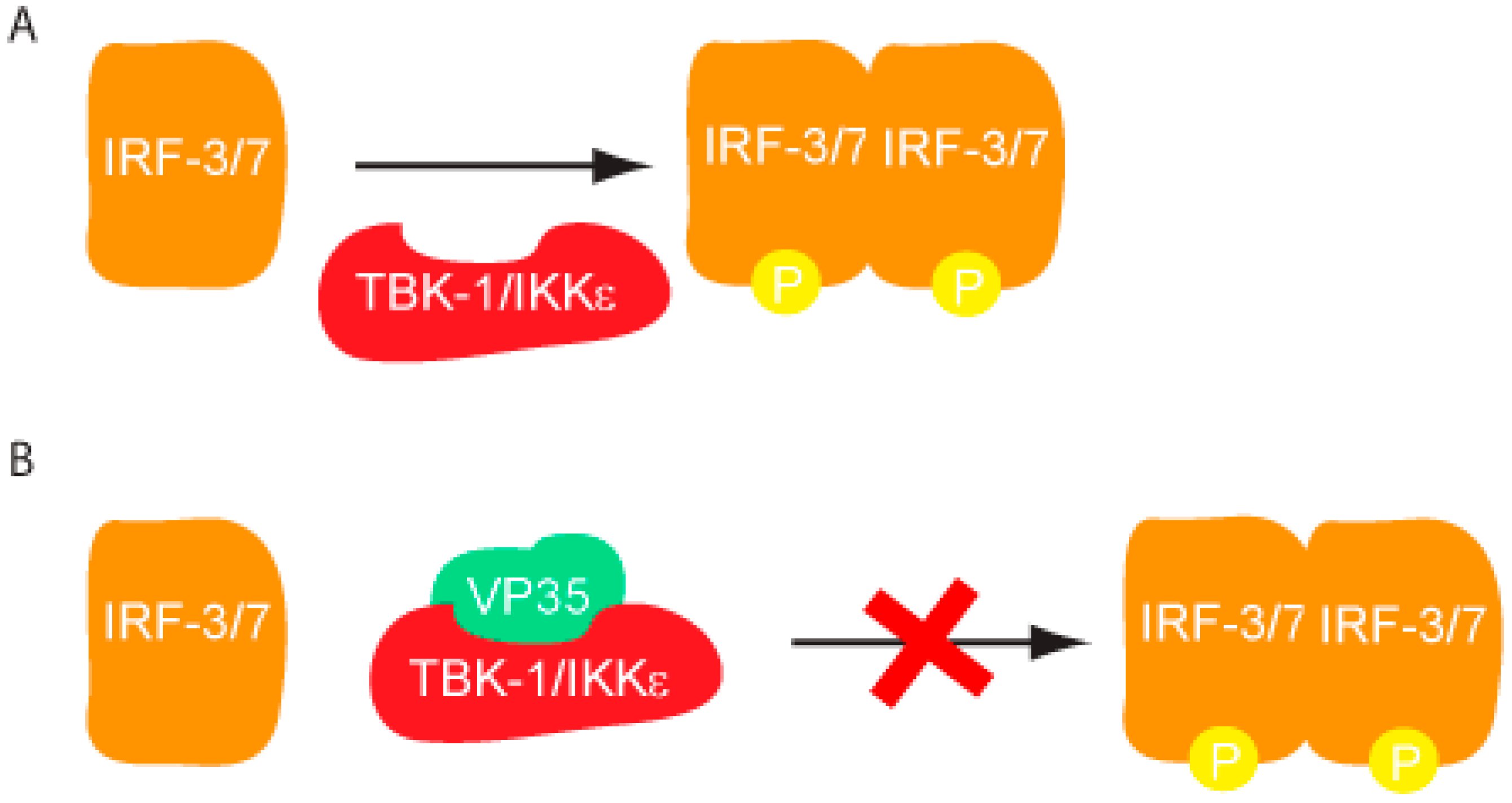 Viruses 03 01634 g004
