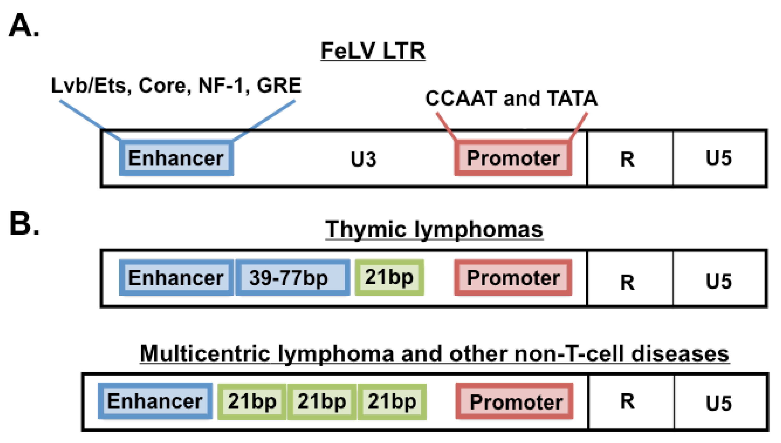 Viruses 03 01681 g003