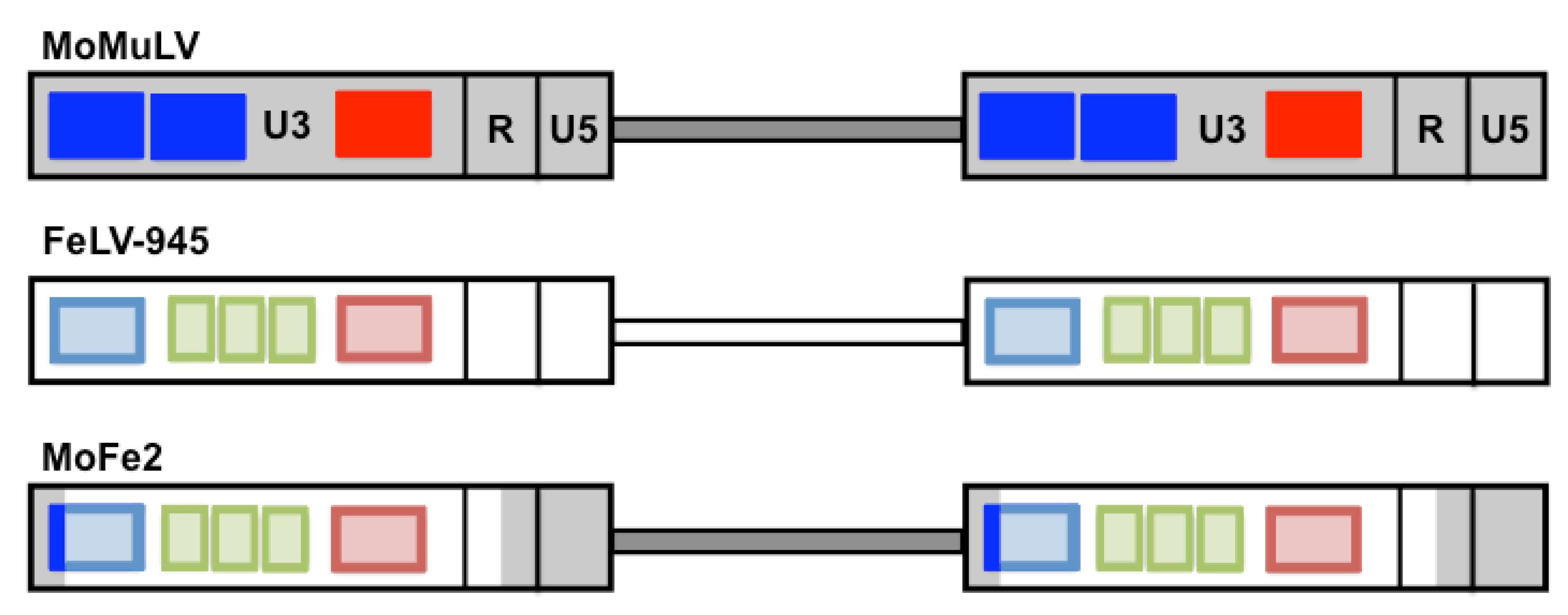 Viruses 03 01681 g004