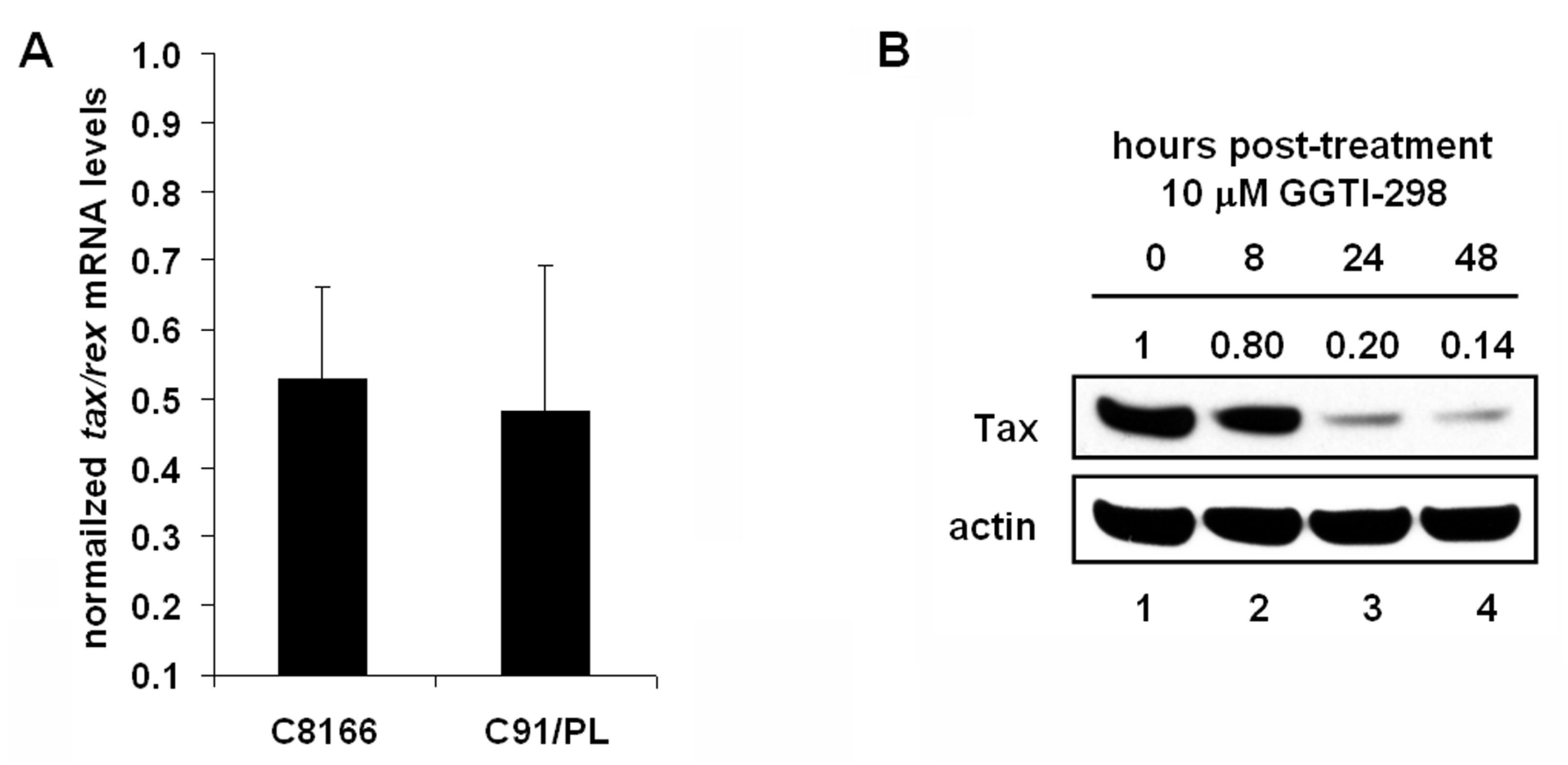 Viruses 03 01815 g005a