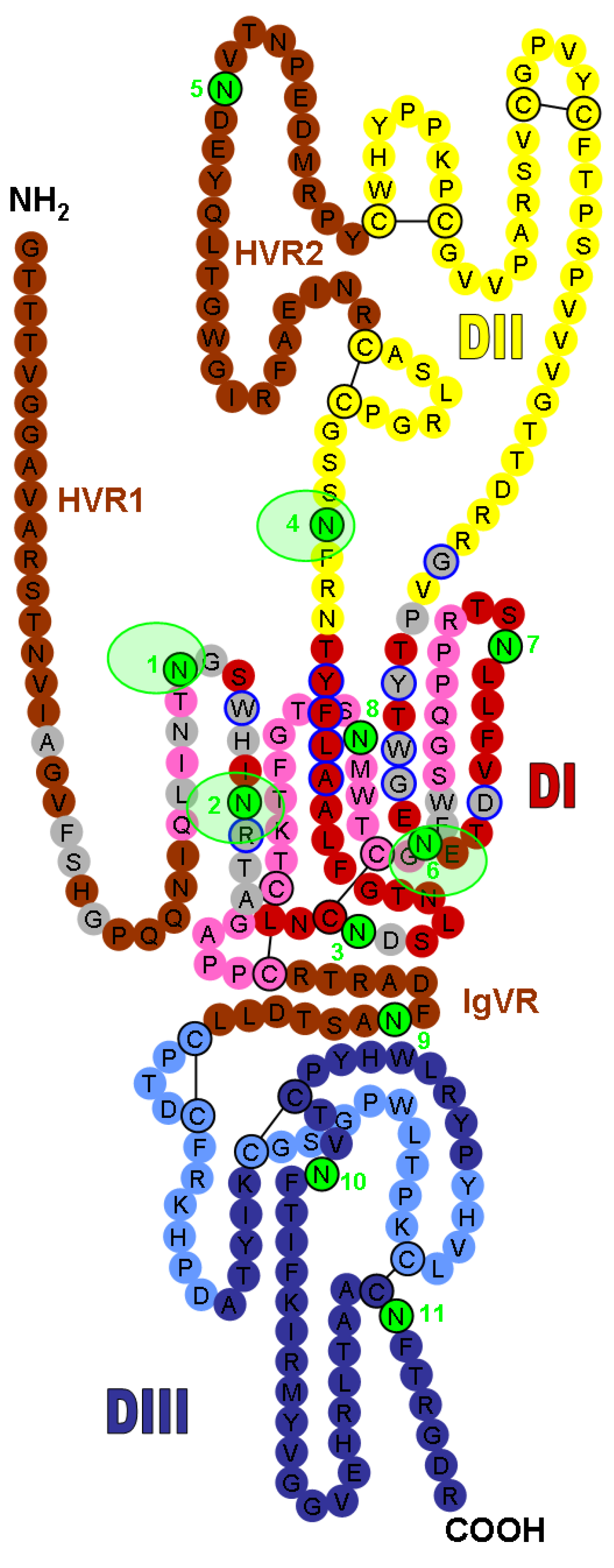 Viruses 03 01909 g001