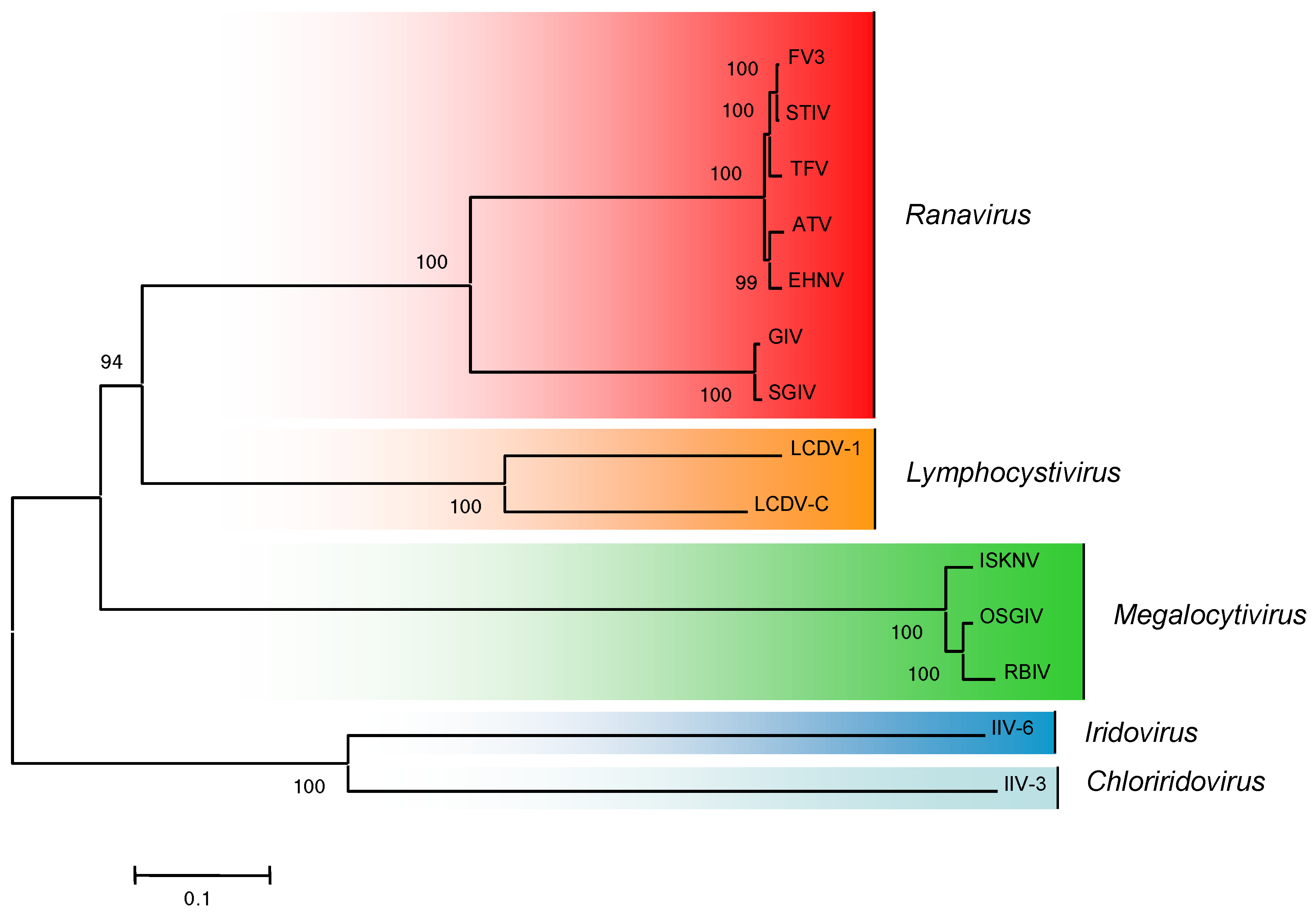 Viruses 03 01959 g003 Viruses 03 01959 g003
