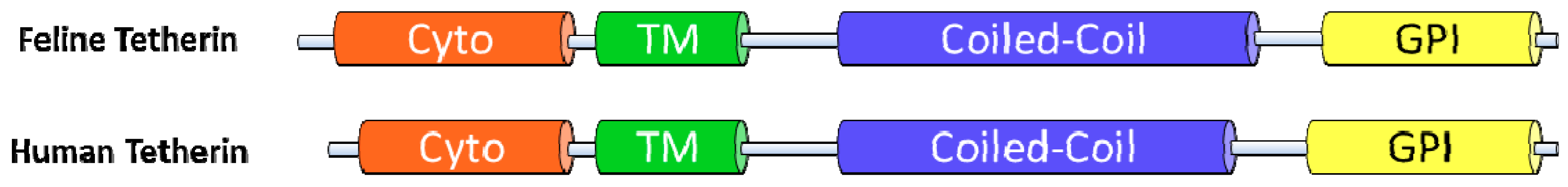 Viruses 03 01986 g004