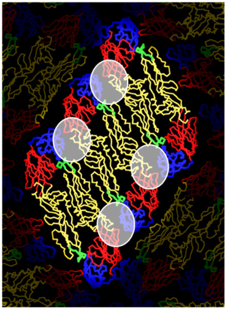 Viruses 03 02374 g004