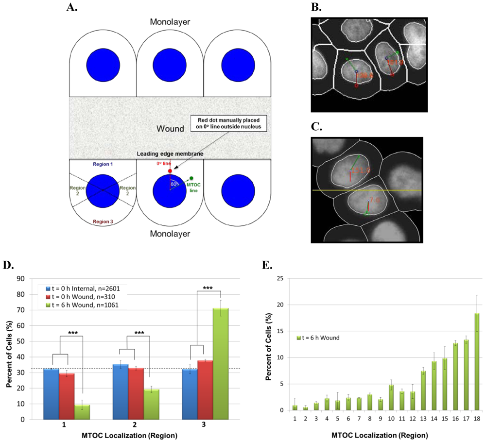 Viruses 03 02396 g005 1024