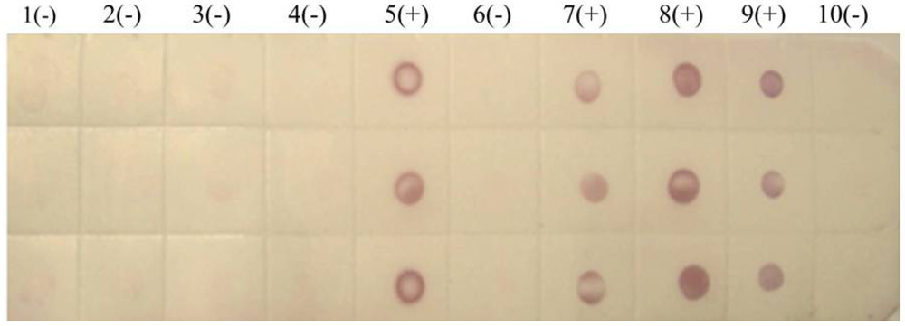 Viruses 04 00167 g006 1024