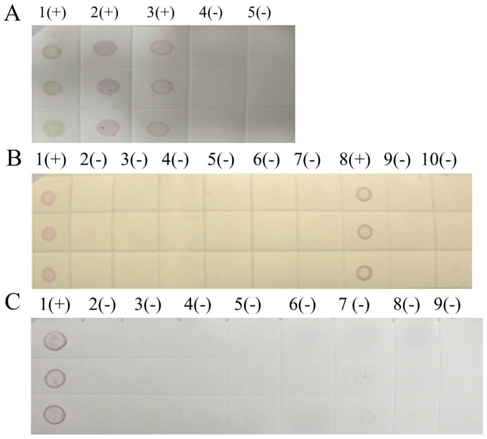 Viruses 04 00167 g008 1024