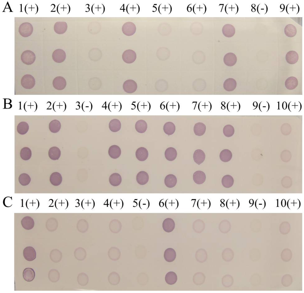 Viruses 04 00167 g009 1024