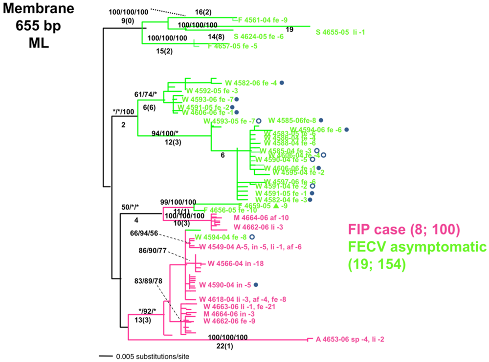 Viruses 04 00236 g001