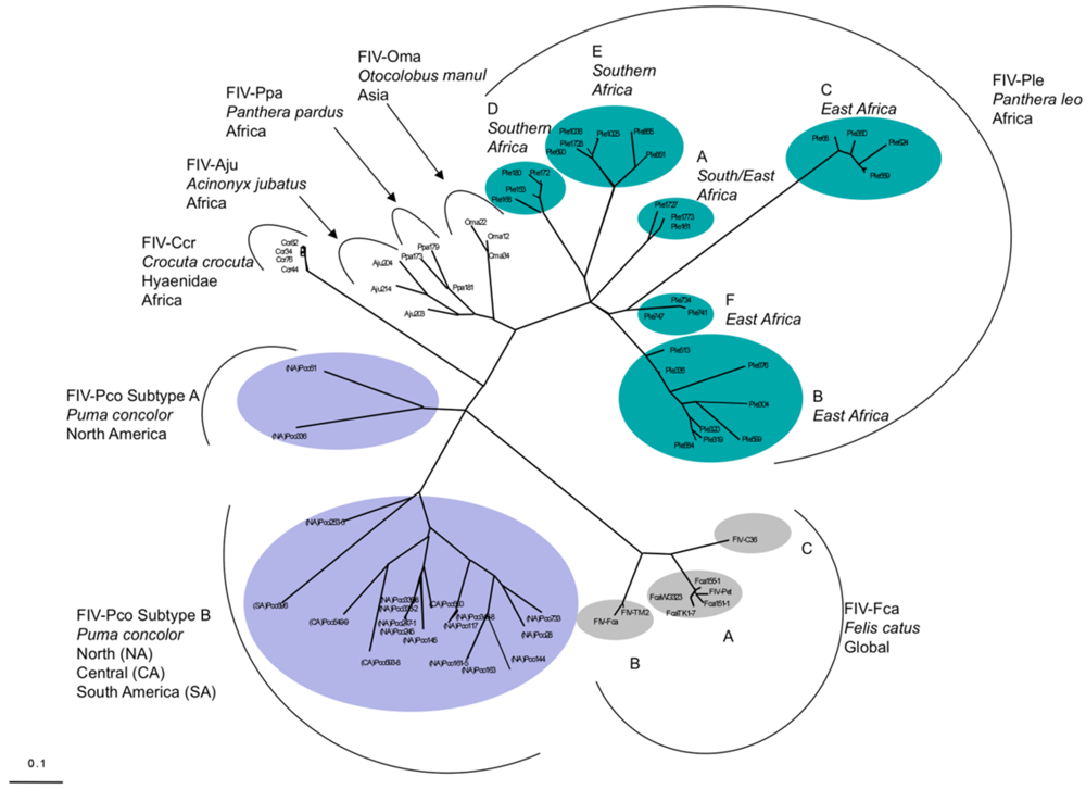 Viruses 04 00236 g002