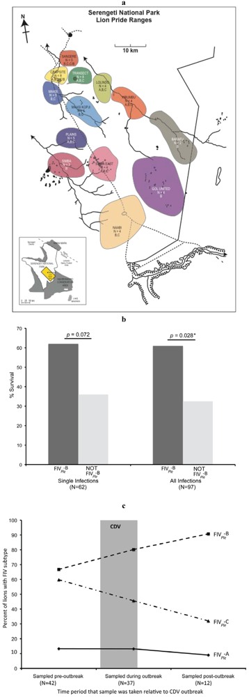 Viruses 04 00236 g003