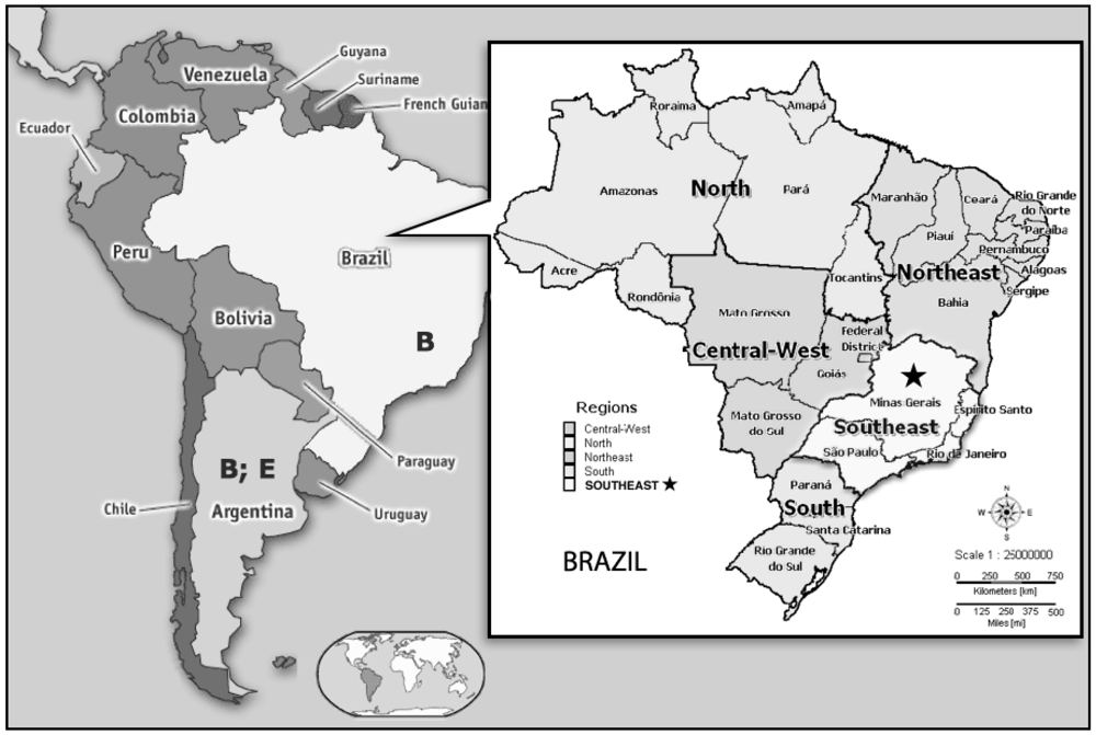 Viruses 04 00383 g001 1024