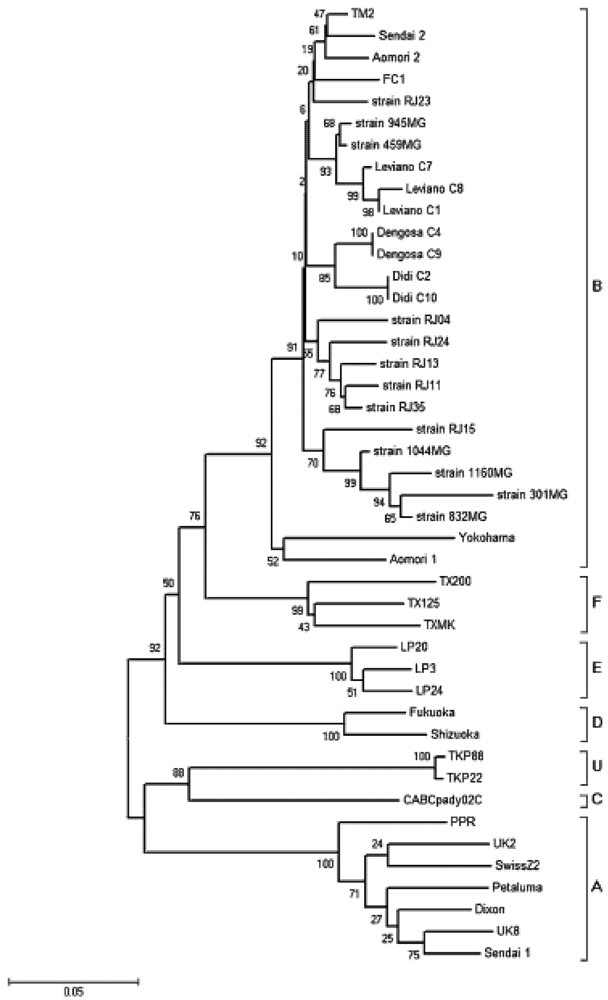 Viruses 04 00383 g002 1024
