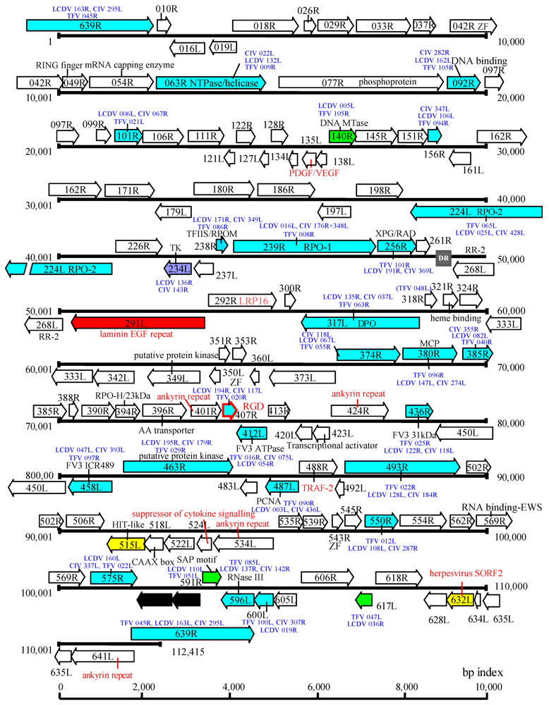 Viruses 04 00521 g003