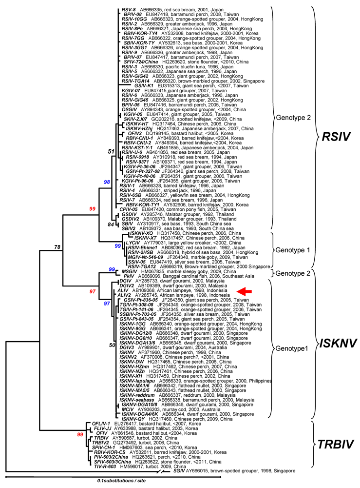 Viruses 04 00521 g006 1024