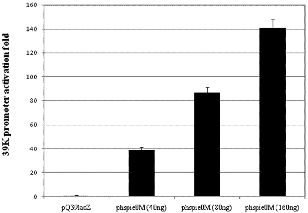 Viruses 04 00761 g001 1024