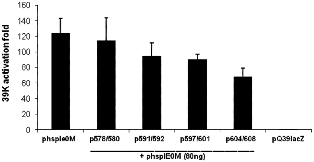 Viruses 04 00761 g007 1024