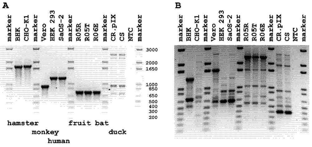 Viruses 04 00889 g001