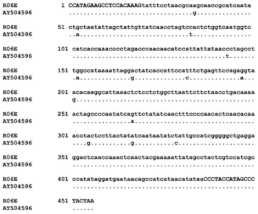 Viruses 04 00889 g002