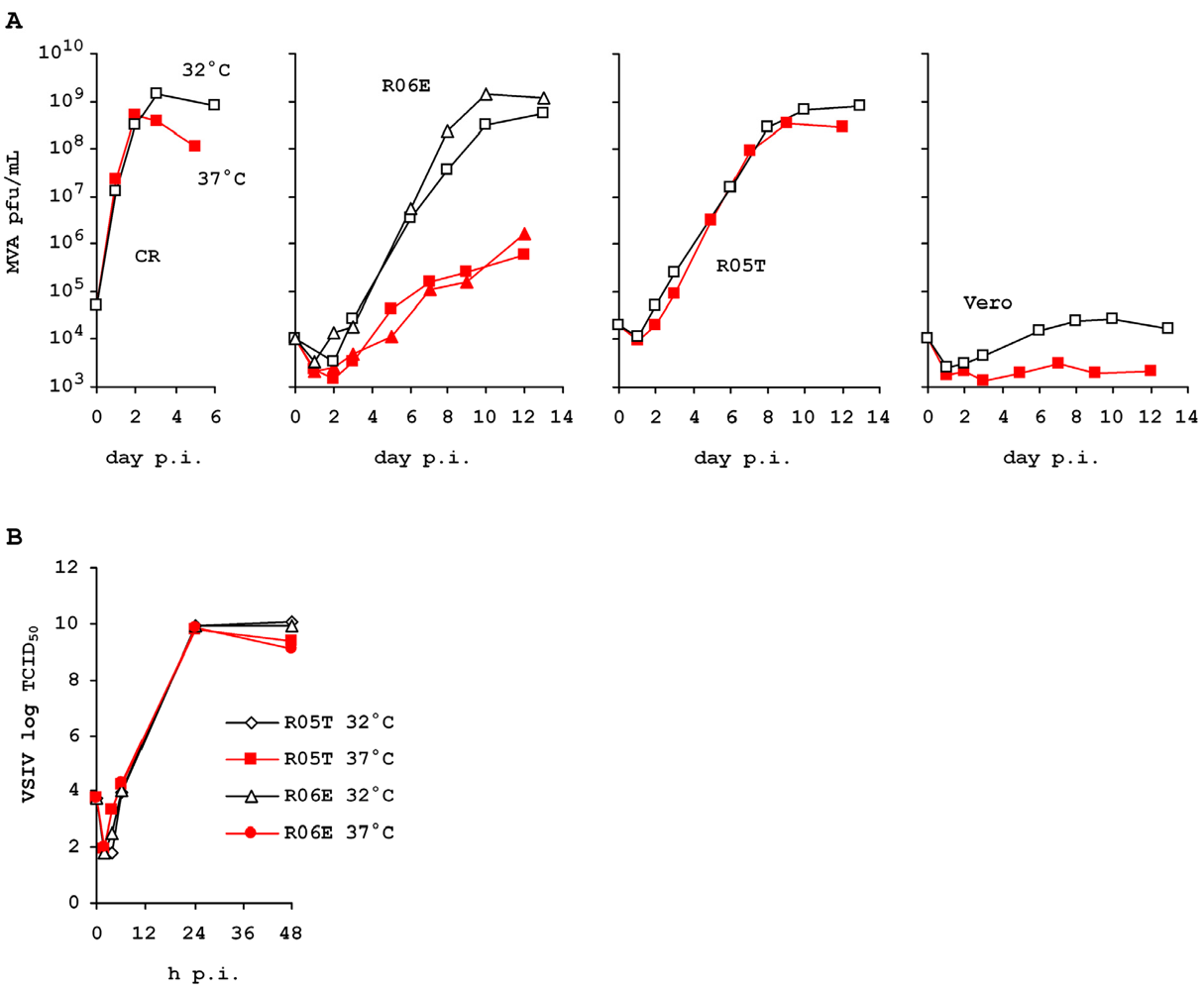 Viruses 04 00889 g004