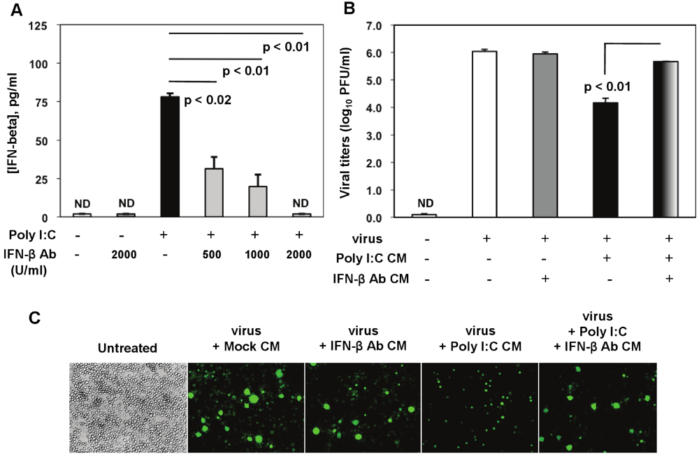 Viruses 04 00901 g008