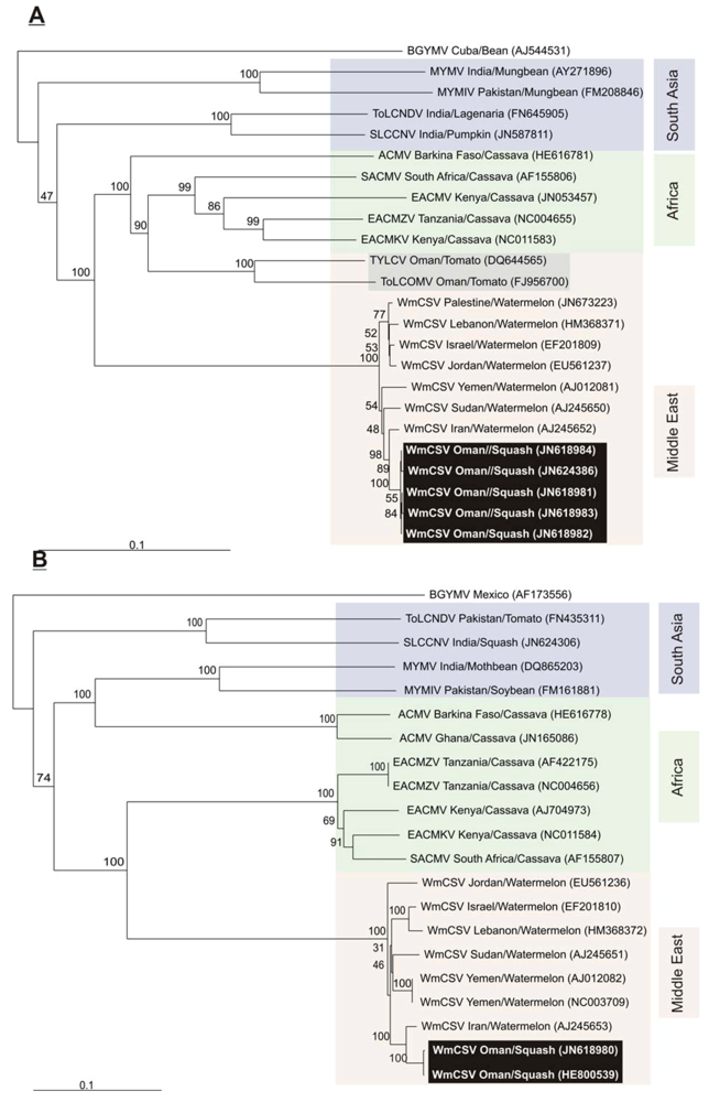 Viruses 04 01169 g003