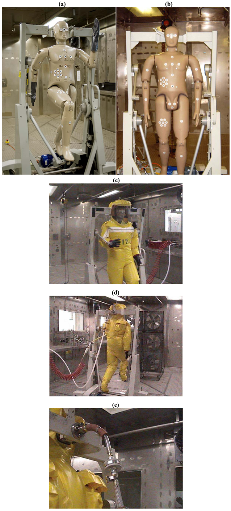 Viruses 04 01202 g001 1024