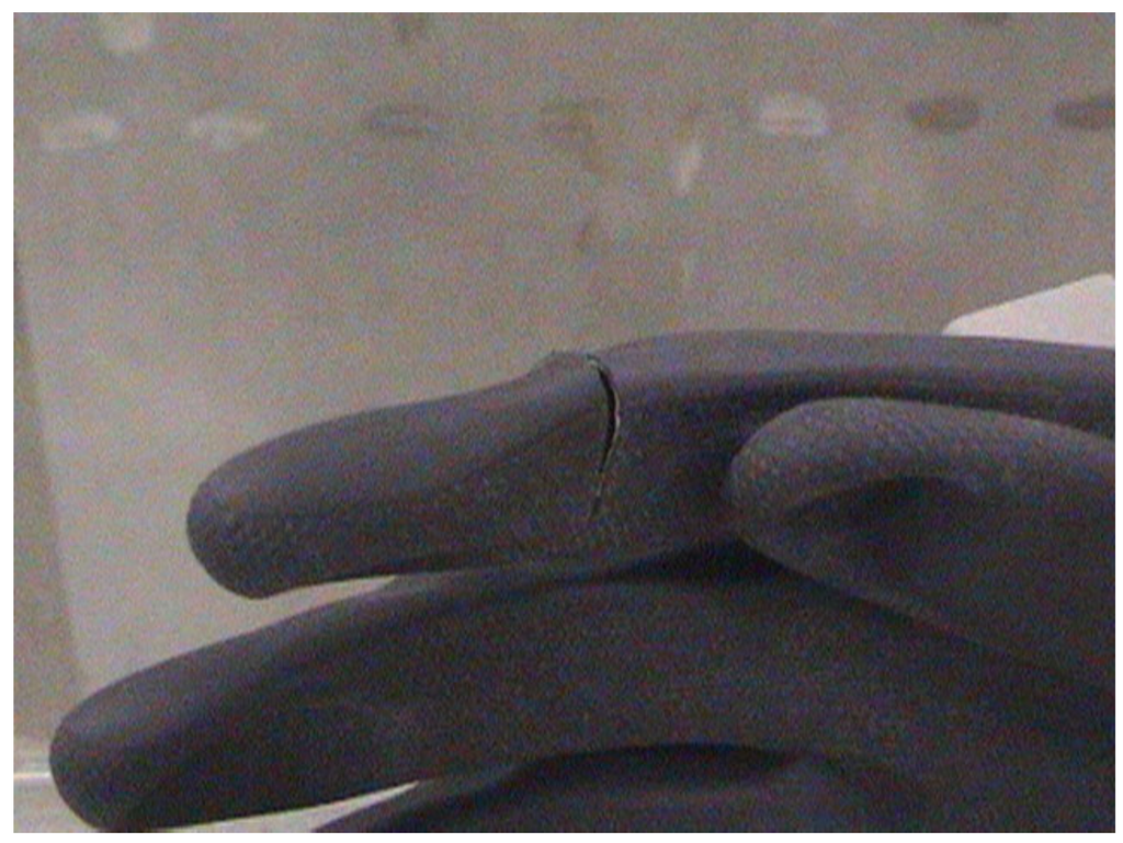 Viruses 04 01202 g003 1024