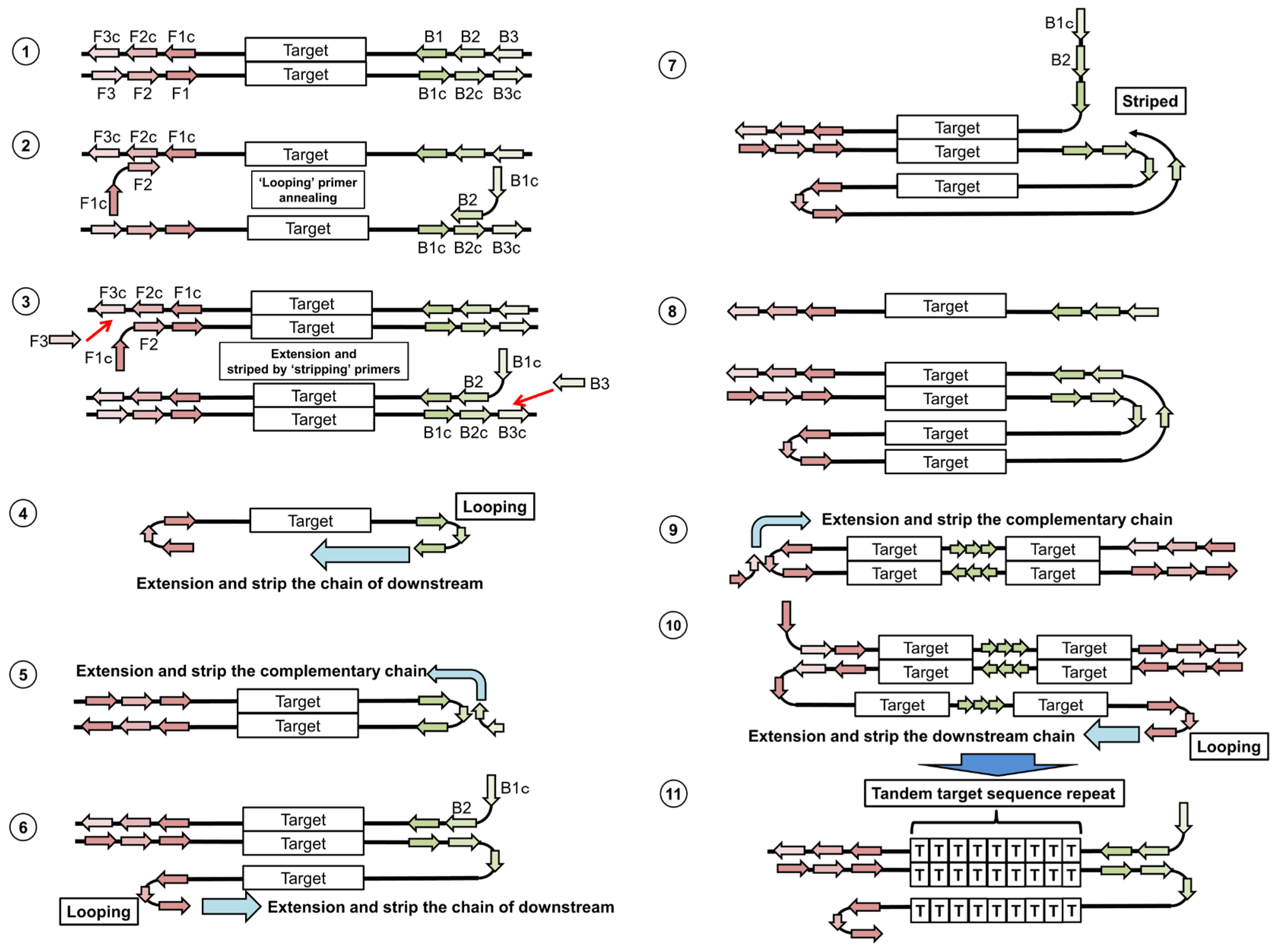 Viruses 04 01235 g004