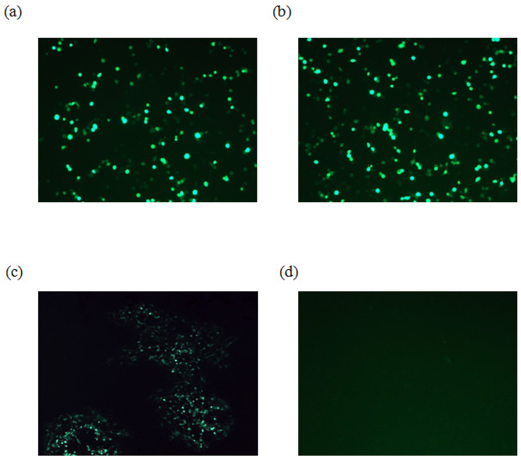 Viruses 04 01258 g002 1024