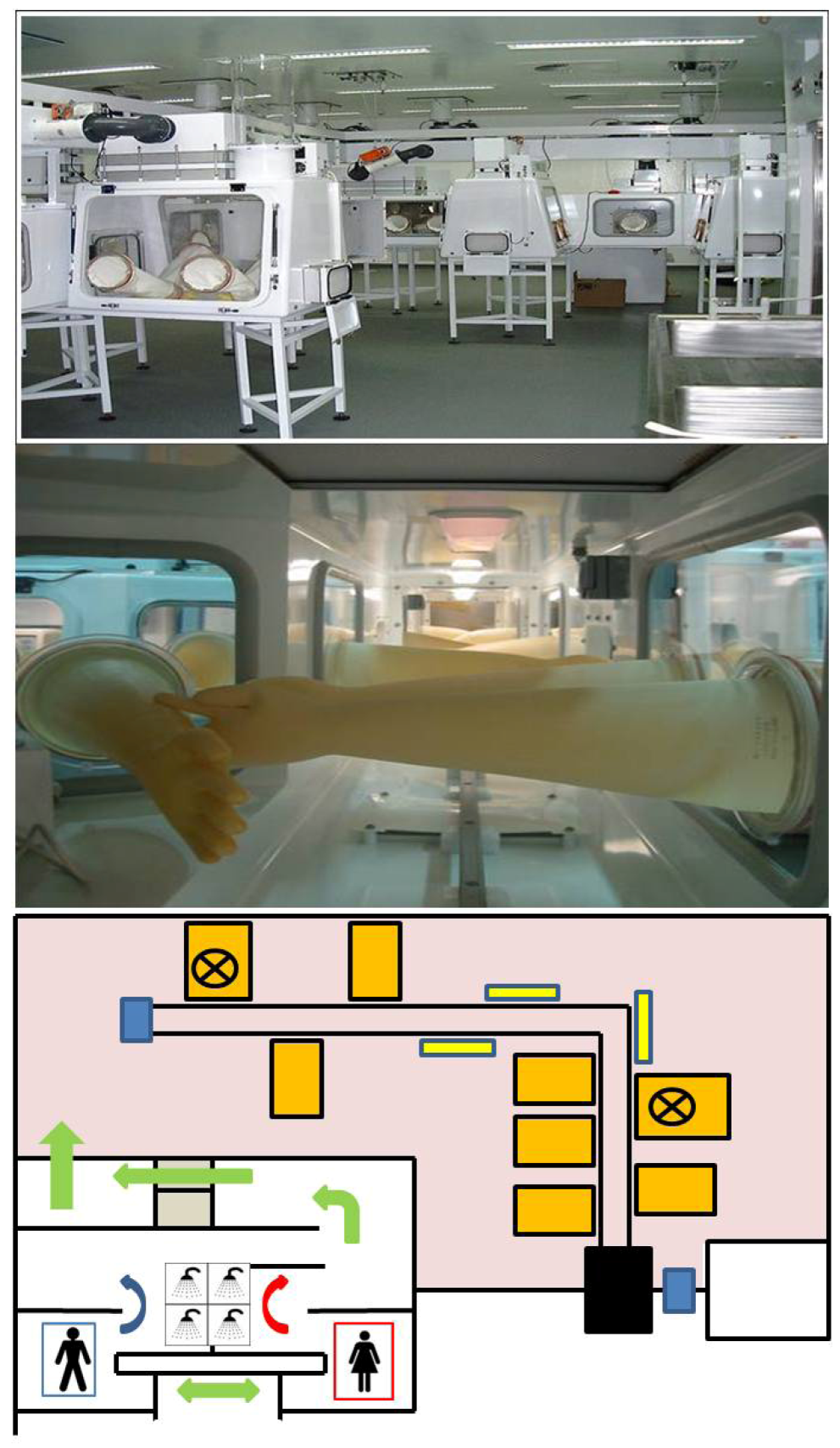 Viruses 04 01305 g001