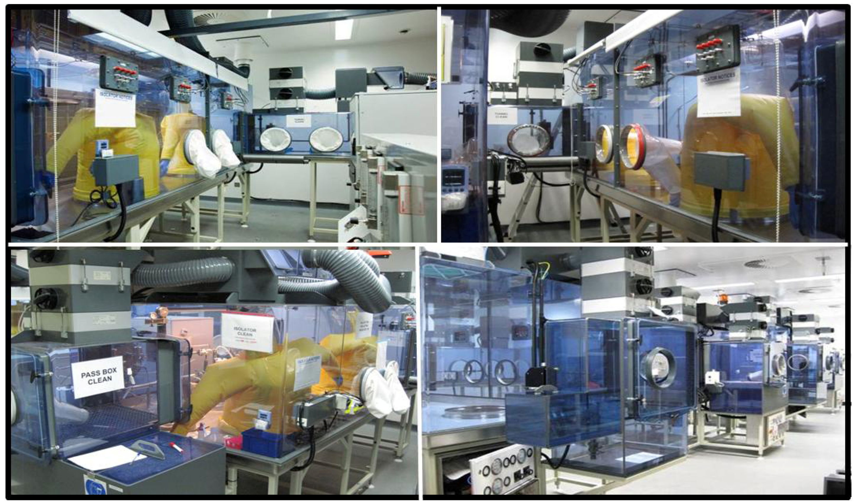 Viruses 04 01305 g002