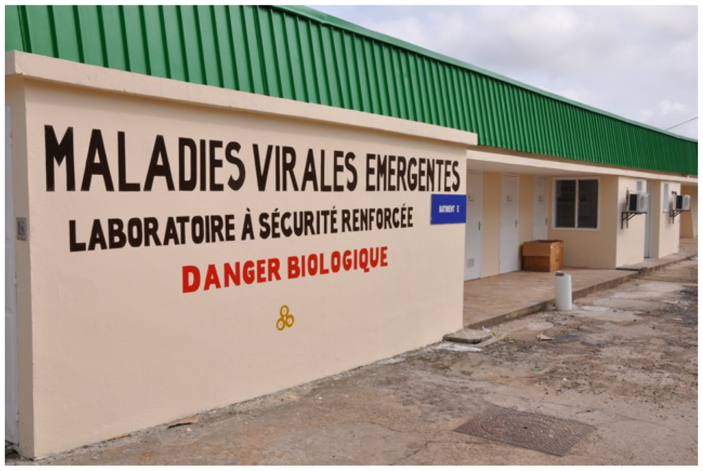 Viruses 04 01592 g002 1024