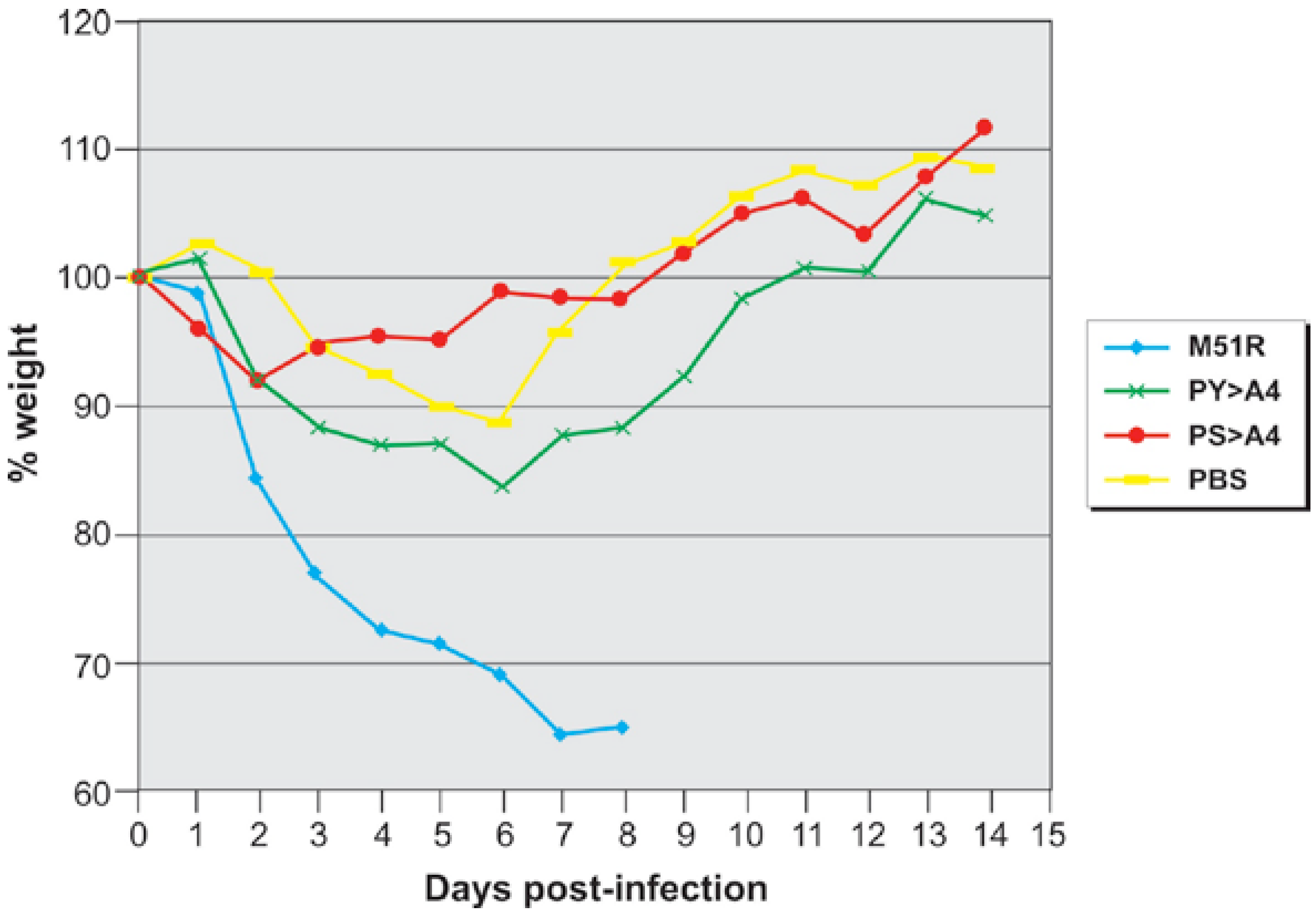 Viruses 04 01605 g002