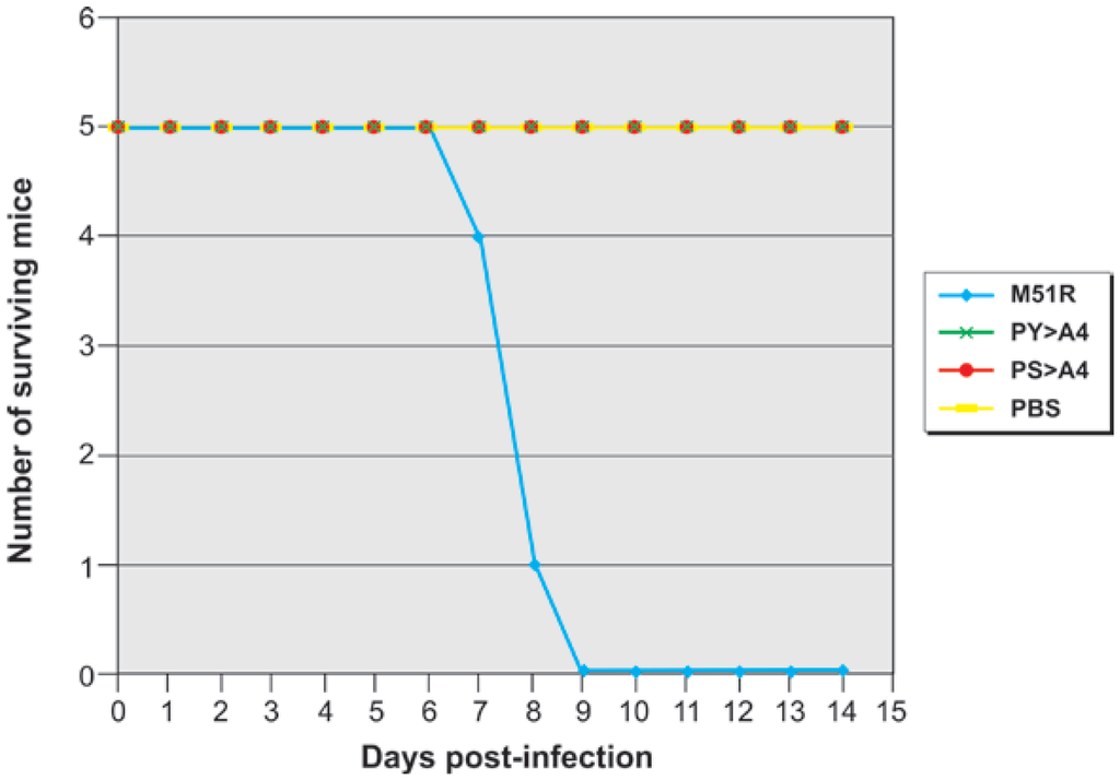 Viruses 04 01605 g003 1024