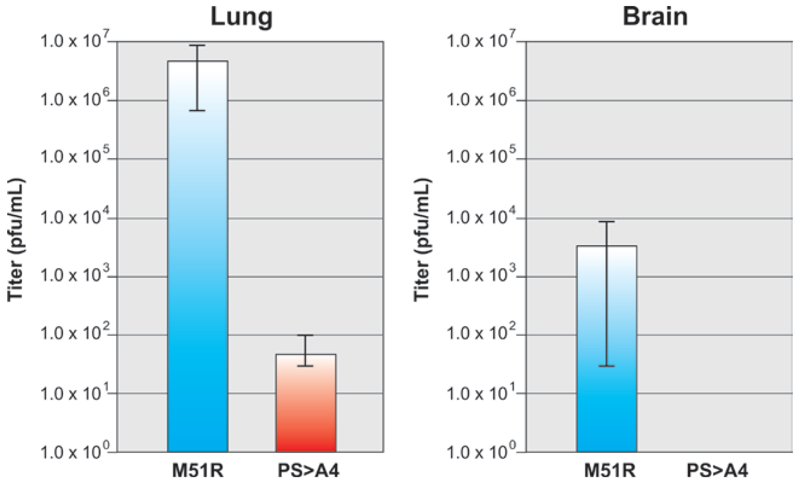 Viruses 04 01605 g004