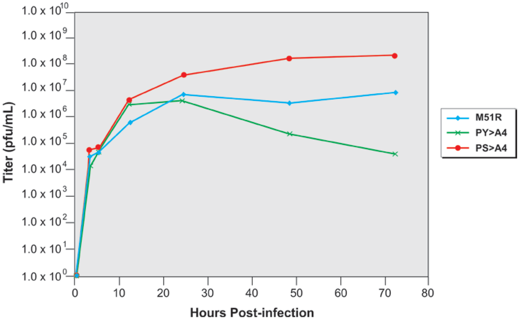 Viruses 04 01605 g005 1024