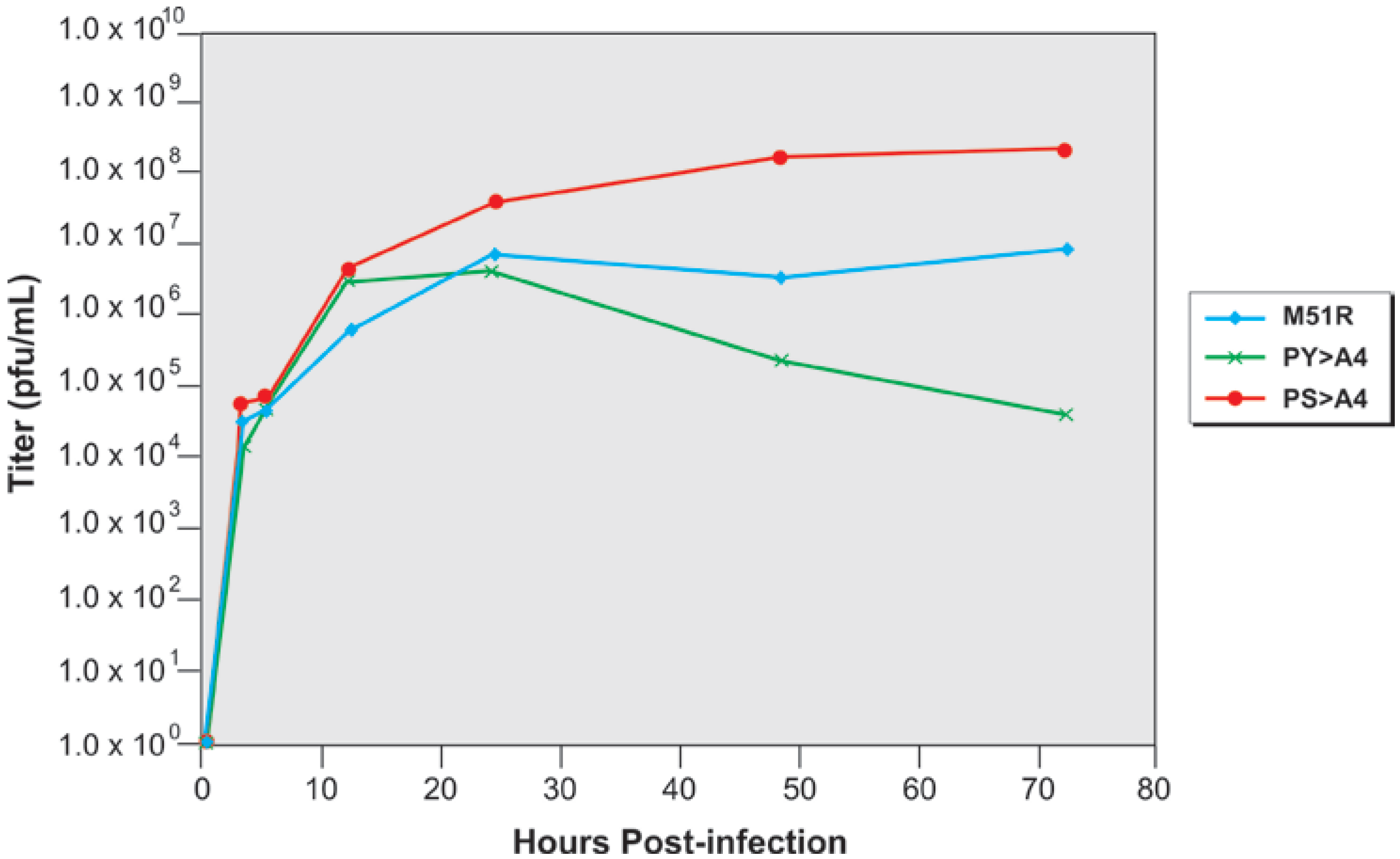 Viruses 04 01605 g005