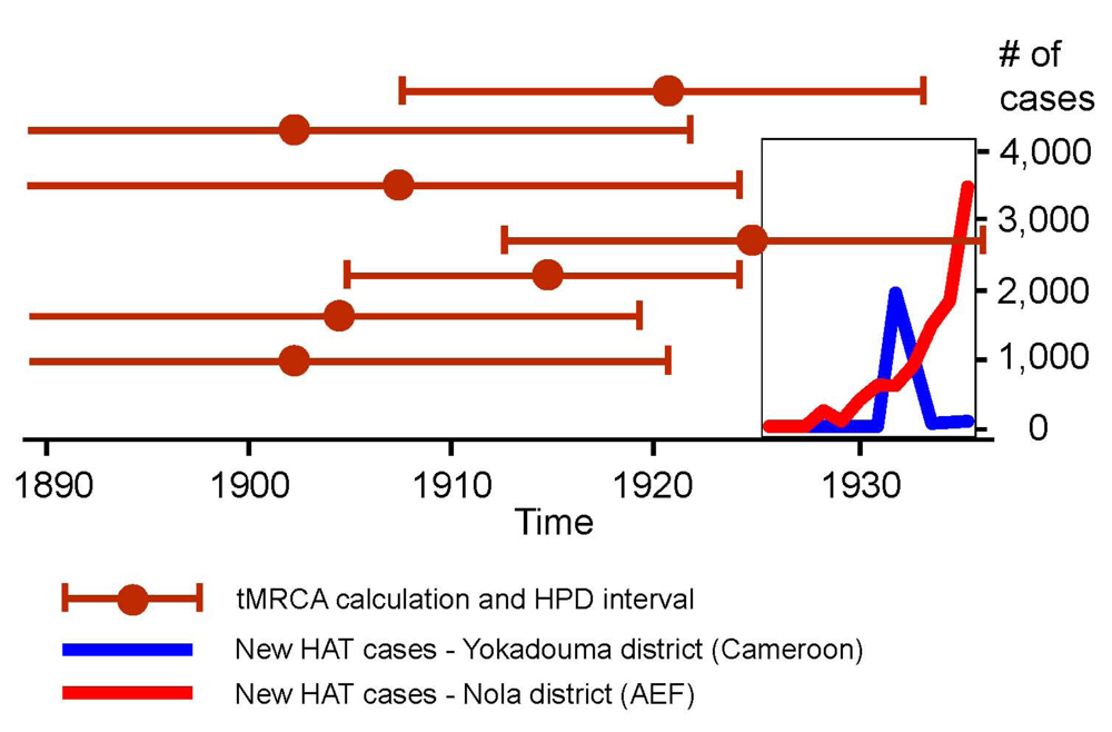 Viruses 04 01950 g003 1024
