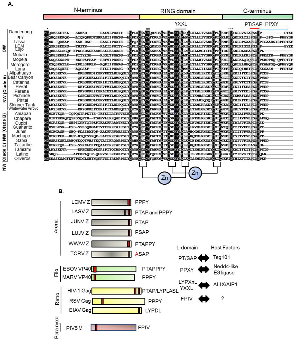 Viruses 04 02049 g004 1024