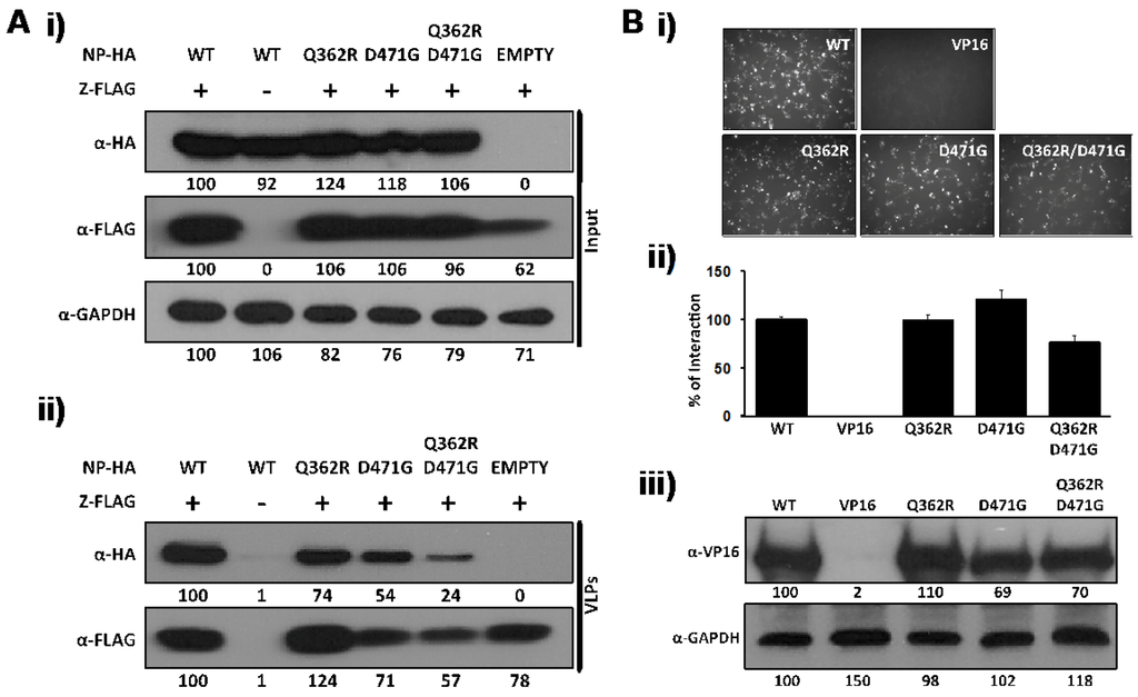 Viruses 04 02137 g002 1024