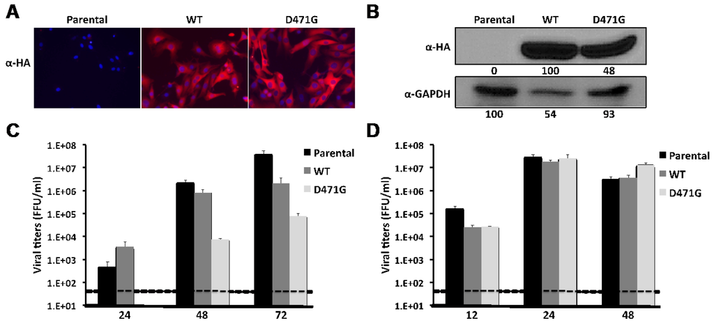 Viruses 04 02137 g008 1024