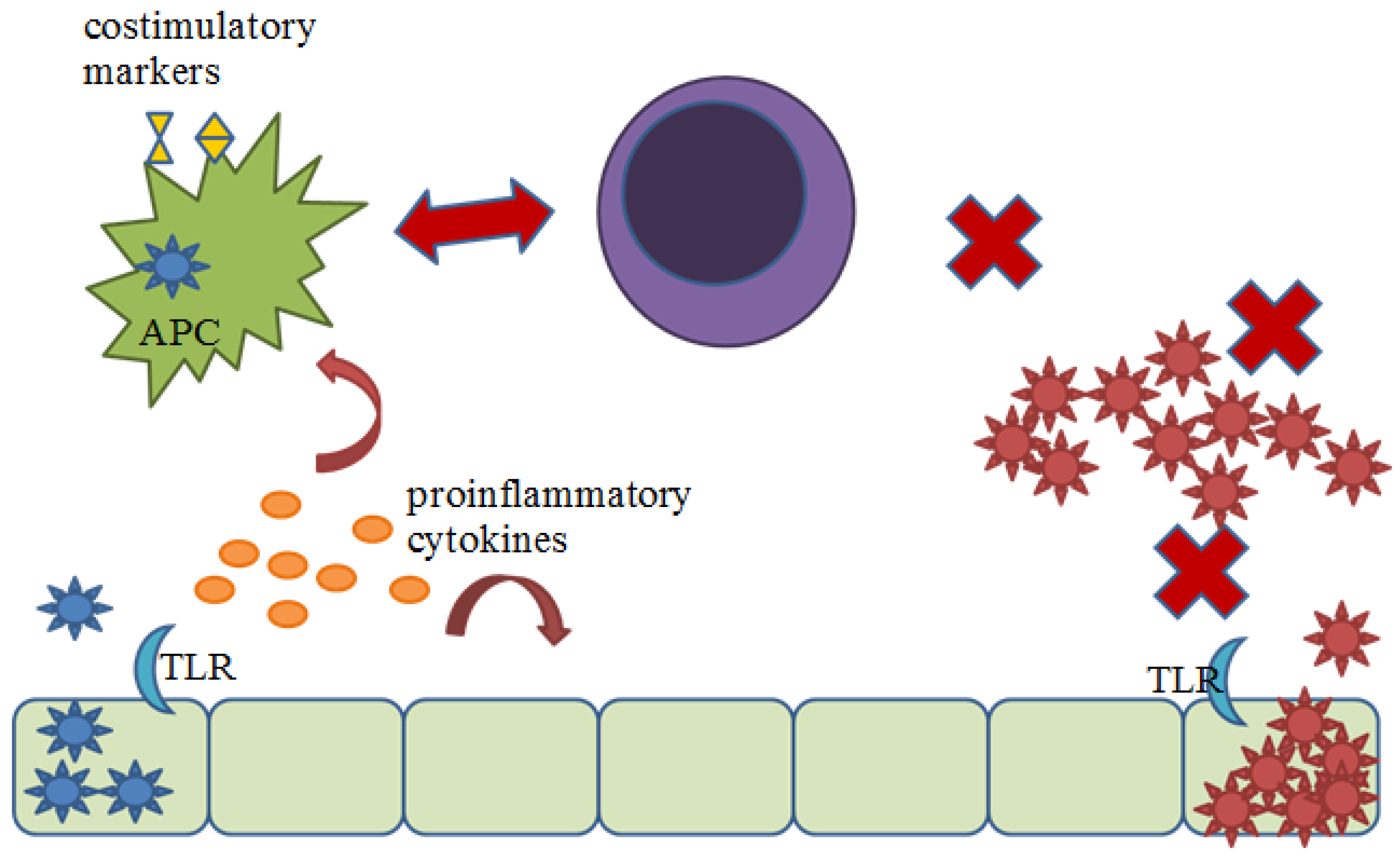 Viruses 04 02182 g003