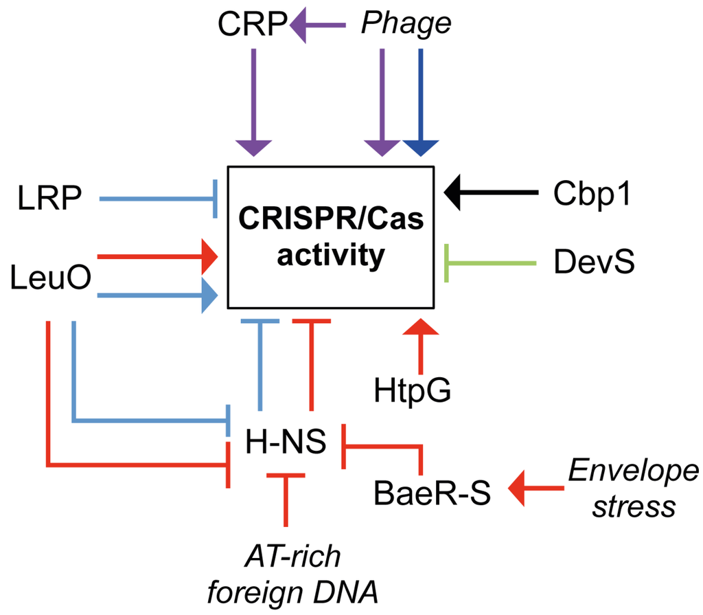Viruses 04 02291 g004 1024
